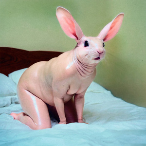 Supernormal (Original Mix)