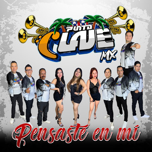 Pensaste en mi
