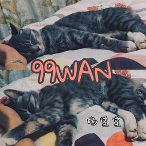 99WAN (Prod.By Bizy)