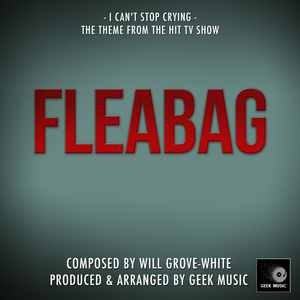 Fleabag: I Can't Stop Crying