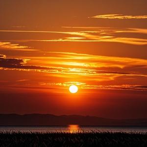 特别固执的人 (现场)