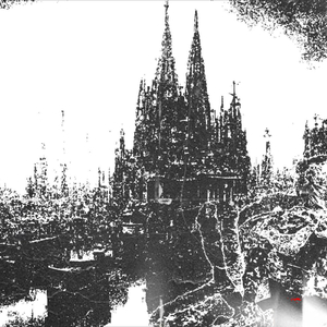 A.M.O.R (Cover of Rozmazani's song L.O.V.E)