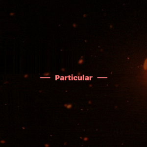 Particular