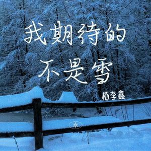 我期待的不是雪