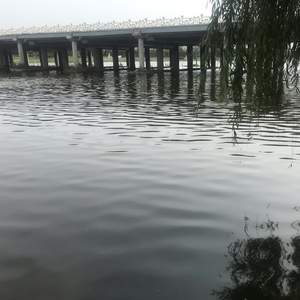 爱是呼吸带着痛