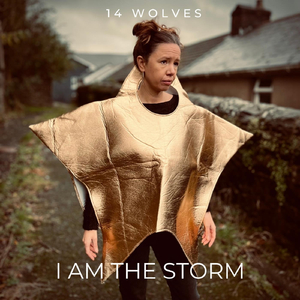 I Am the Storm