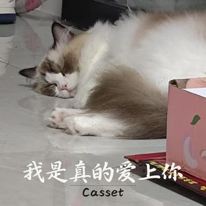 我是真的爱上你