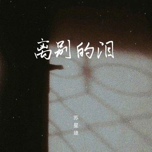 离别的泪（DJAh版）