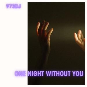 one night without you