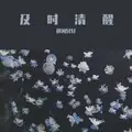 当真 (DJ版)