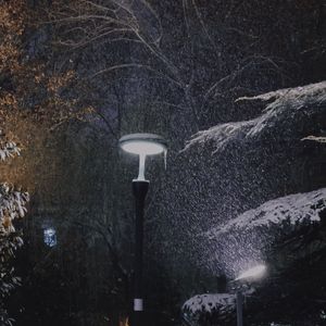 失去一切的虚无