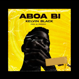 Aboa Bi