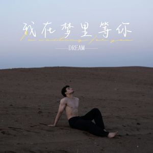 我在梦里等你