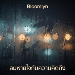 ใต้ฟ้าคืนเดียวกัน