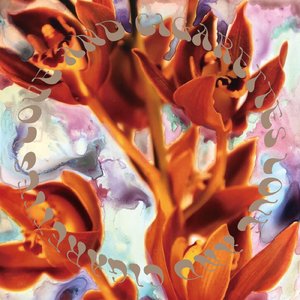 愛し合って消えてしまうもの