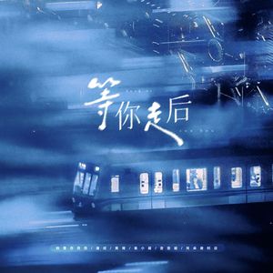 等你走后（DJ豪大大版）