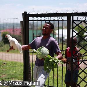 uShebe Mhlobam (feat. Mrzux Figlan)