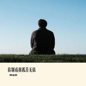 你别看我孤苦无依