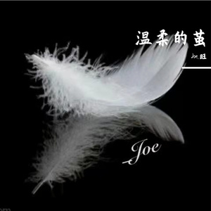 温柔的茧