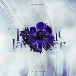 Twilight lavender
