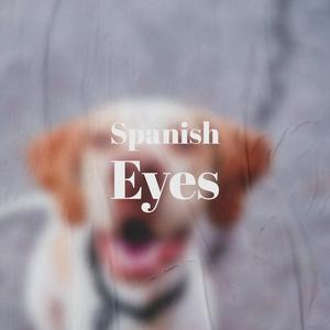 Letter Full Of Tears