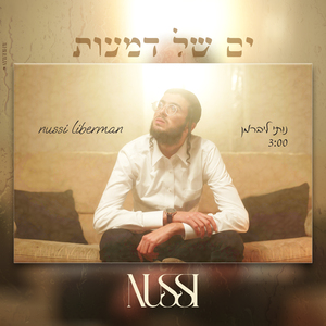 ים של דמעות