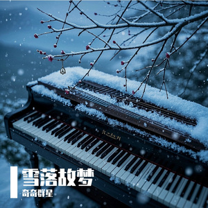 雪落枝头