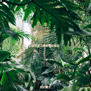 适合正在学习柔和的音乐