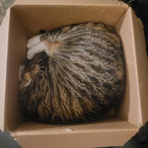 Use Me One More Time