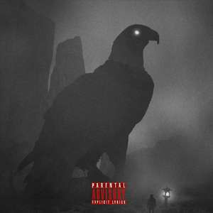 Mr.D（“D”先生）