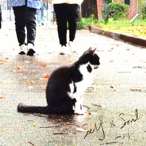 BUBBLE (Prod.by Nooti1 & Freeboy_YAN)