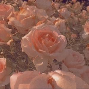 (Free)"Cautions" Summer Walker RnB type beat