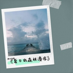 夏日的森林漫步