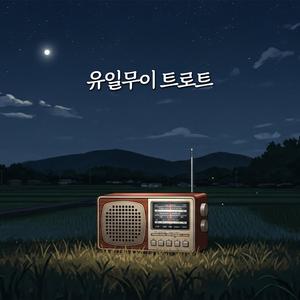 지나간 청춘