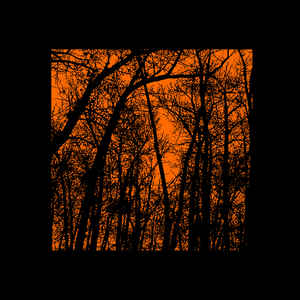Banshee's Bog