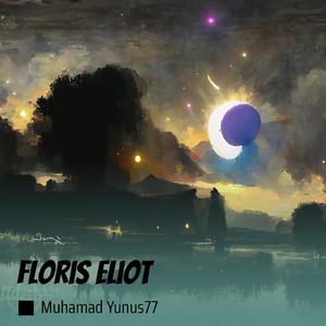 Floris Eliot