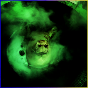 守墓人(prodb dy XVIBE )