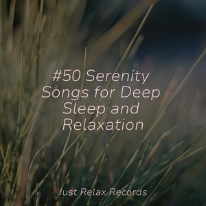 Mystical Soaring Hues