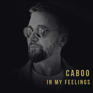 In My Feelings (Extended MIX)