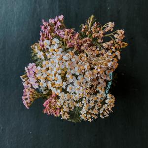 a moment in spring ii