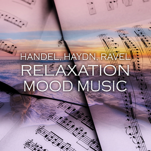 Suite No. 7 in G Minor, HWV 432: VI. Passacaglie (String Quartet Version)