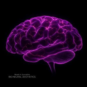 Calibrated Rest Sequence