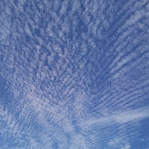 百年孤寂（Cover：王菲）