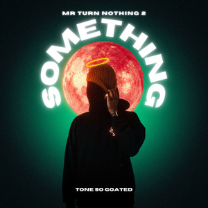 Mr Turn Nothing 2 Something