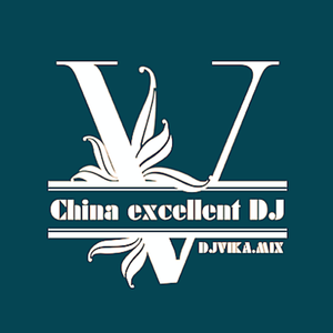 夹子道-美丽的误会（djvika remix）