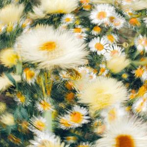 {pain}Asen Day1 type beat