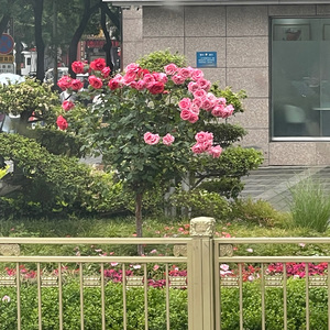 yourself（prod.@rocky）