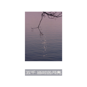 当时的月亮（cover 王菲）