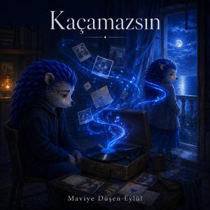 Kaçamazsın