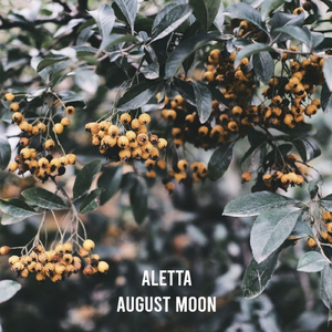 August Moon